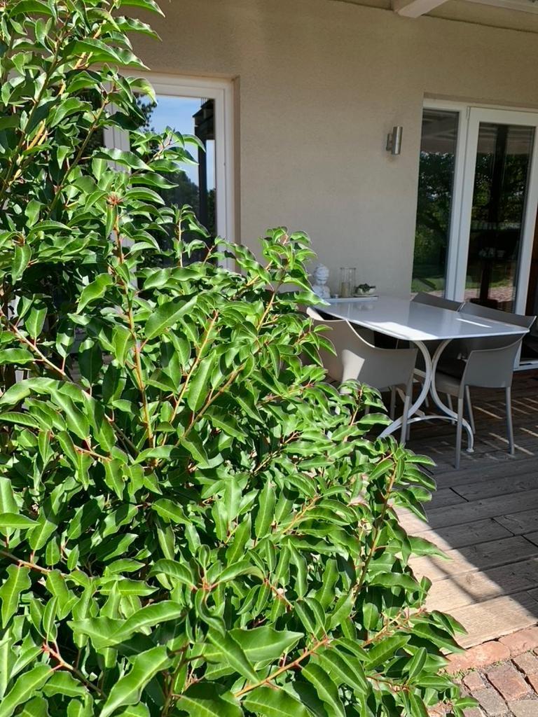 Apartament Gleisberg3 - Suedliche Weinstrasse Billigheim-Ingenheim Zewnętrze zdjęcie